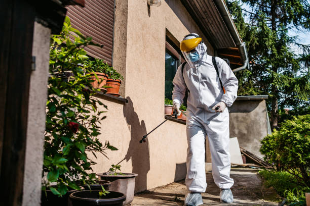 Best Mosquito Control Services  in Leoti, KS