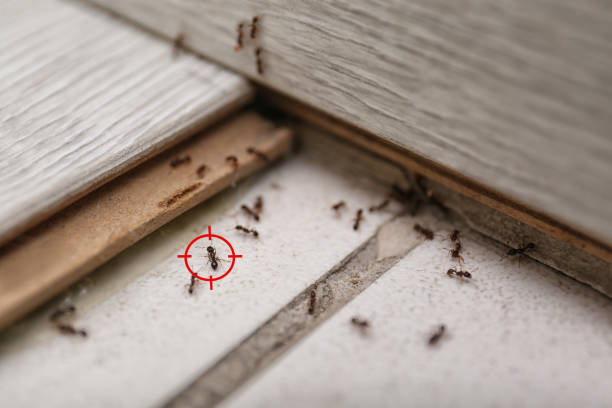 Leoti, KS Pest Control Company