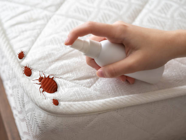 Best Flea Control Services  in Leoti, KS