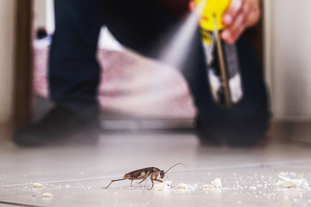 Best Pest Control Near Me in Leoti, KS