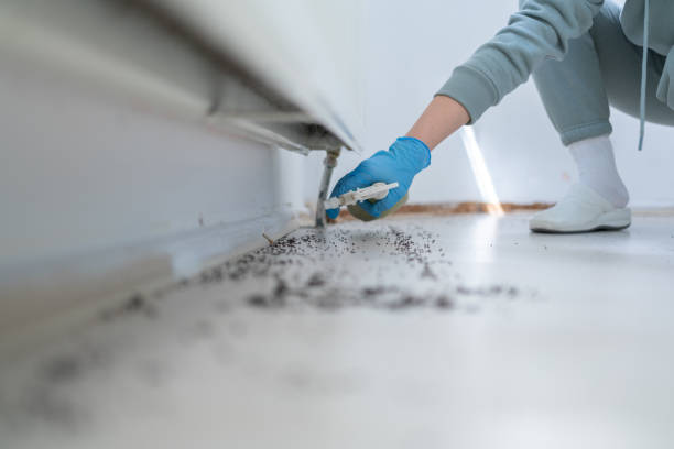 Best Emergency Pest Control  in Leoti, KS