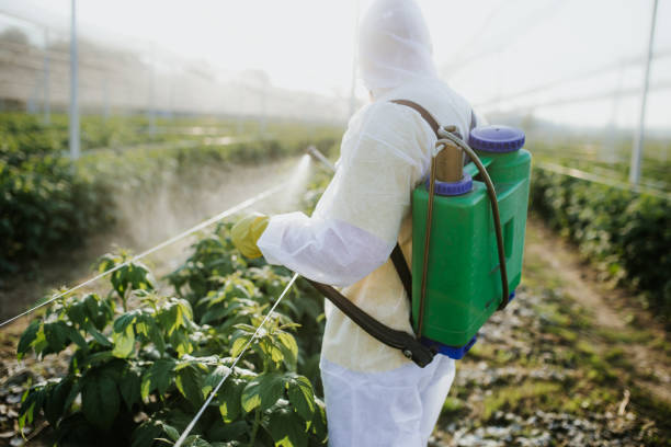 Best Best Pest Control Companies  in Leoti, KS